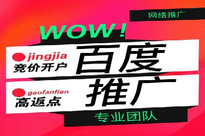 百度搜索推广实战案例：揭秘高效推广策略
